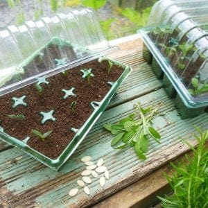 Trowell Garden Centre Gro-Sure Visiroot Twin Propagator Set