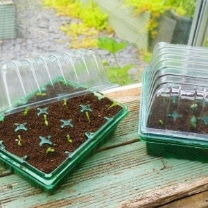 Trowell Garden Centre Gro-Sure Visiroot Twin Propagator Set
