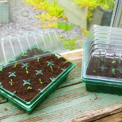 Westland Horticulture Propagator Unheated Gro-Sure Visiroot Twin Propagator Set