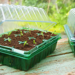 Westland Horticulture Propagator Unheated Gro-Sure Visiroot Twin Propagator Set