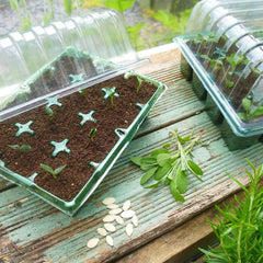 Westland Horticulture Propagator Unheated Gro-Sure Visiroot Twin Propagator Set