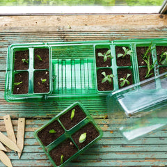 Westland Horticulture Windowsill Propagator Gro-Sure Visiroot Windowsill Propagator Set