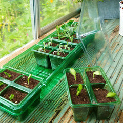Westland Horticulture Windowsill Propagator Gro-Sure Visiroot Windowsill Propagator Set