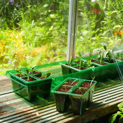 Westland Horticulture Windowsill Propagator Gro-Sure Visiroot Windowsill Propagator Set