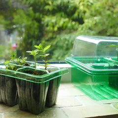 Westland Horticulture Windowsill Propagator Gro-Sure Visiroot Windowsill Propagator Set