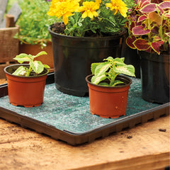 Gardman Watering Tray Gro Sure Watering Tray Pack of 2