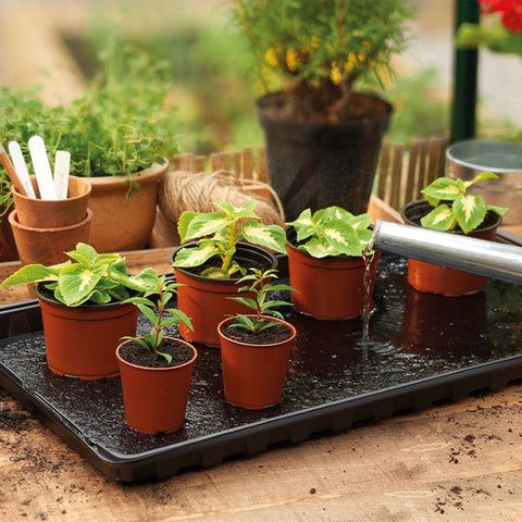 Gardman Watering Tray Gro Sure Watering Tray Pack of 2