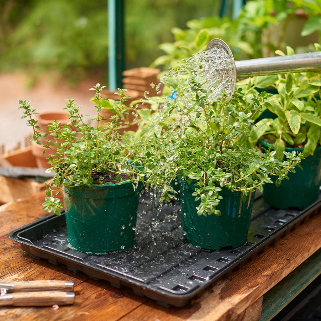 indoor plant watering trays Gardman Grow It Watering Tray Pack of 2 70200062 – Trowell Garden Centre