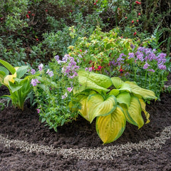 Growing Success Slug Control Growing Success Organic Slug Stop Barrier Pellets Tub
