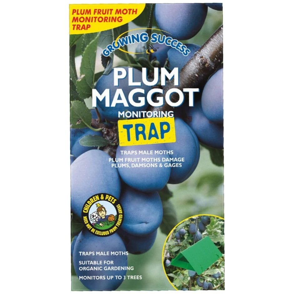 Growing Success Tree Care Growing Success Plum Maggot Monitoring Trap Single