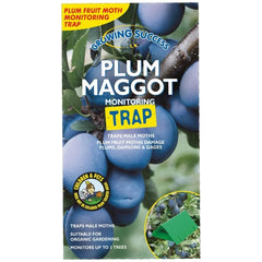 Growing Success Tree Care Growing Success Plum Maggot Monitoring Trap Single
