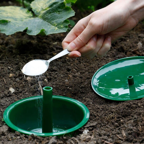 Growing Success Slug Control Growing Success Slug And Snail Trap Reusable