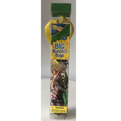 Insect Lore Eductional toys Insect Lore Big Bunch O' Bugs