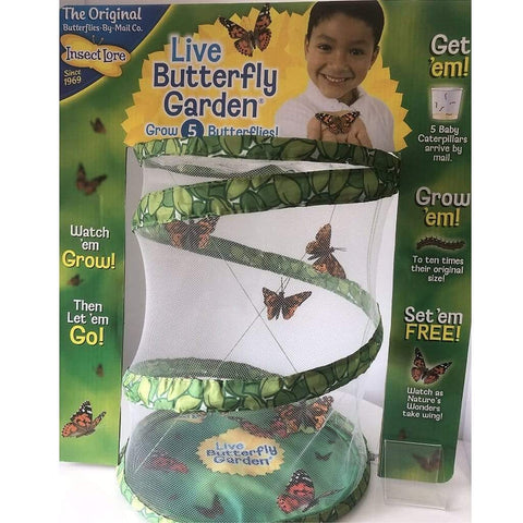 Insect Lore Eductional toys Insect Lore Giant Butterfly Garden