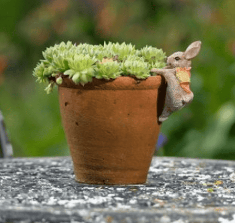 Jardinopia Gift Ware Jardinopia Beatrix Potter Flopsy Bunny Pot Buddy Plant Pot Hanger