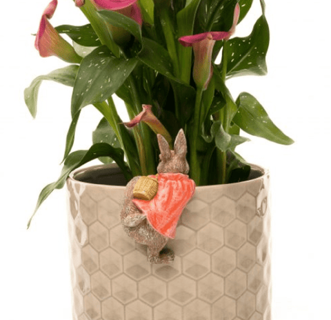Jardinopia Gift Ware Jardinopia Beatrix Potter Flopsy Bunny Pot Buddy Plant Pot Hanger