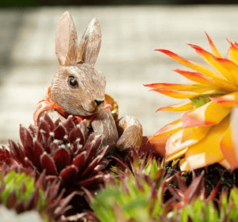 Jardinopia Gift Ware Jardinopia Beatrix Potter Flopsy Bunny Pot Buddy Plant Pot Hanger