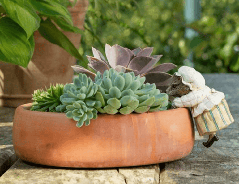 Jardinopia Gift Ware Jardinopia Beatrix Potter Mrs. Tiggy-Winkle Plant Pot Hanger