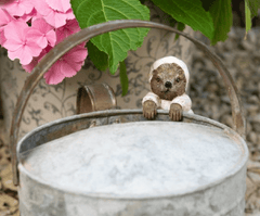 Jardinopia Gift Ware Jardinopia Beatrix Potter Mrs. Tiggy-Winkle Plant Pot Hanger