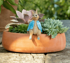 Jardinopia Gift Ware Jardinopia Beatrix Potter Peter Rabbit Plant Pot Hanger