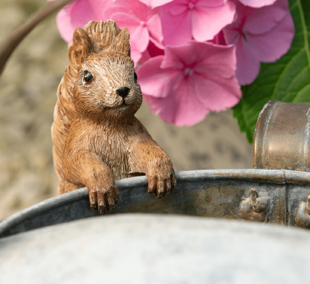 Jardinopia Beatrix Potter Squirrel Nutkin Pot Buddy Plant Pot Hanger Trowell Garden Centre