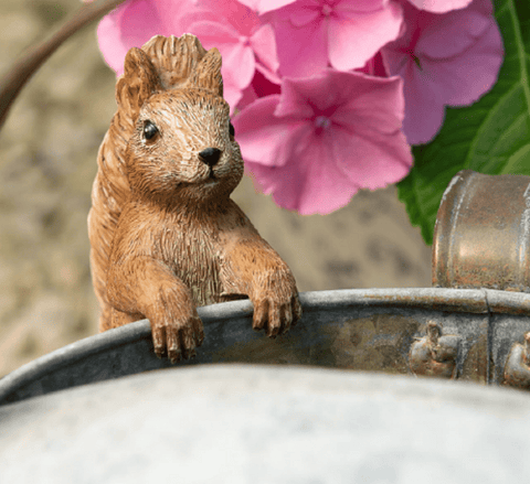 Trowell Garden Centre Jardinopia Beatrix Potter Squirrel Nutkin Pot Buddy Plant Pot Hanger
