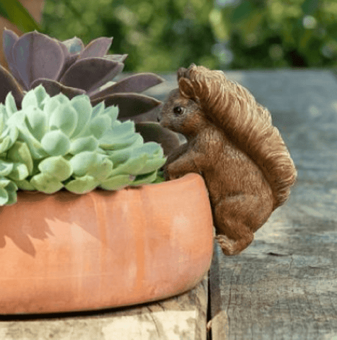 Trowell Garden Centre Jardinopia Beatrix Potter Squirrel Nutkin Pot Buddy Plant Pot Hanger