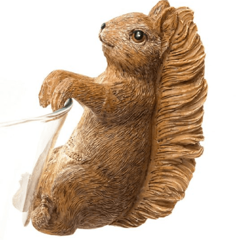 Trowell Garden Centre Jardinopia Beatrix Potter Squirrel Nutkin Pot Buddy Plant Pot Hanger