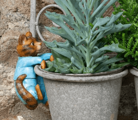 Jardinopia Gift Ware Jardinopia Beatrix Potter Tom Kitten Pot Buddy Plant Pot Hanger