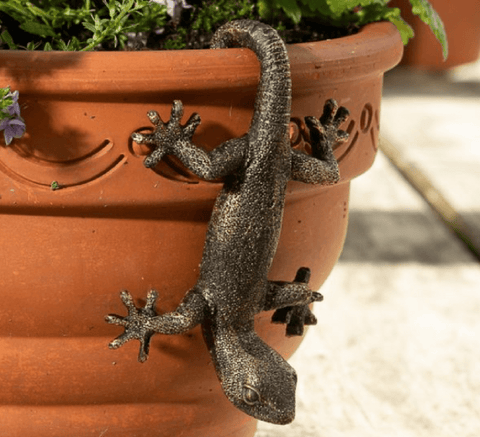 Jardinopia Gift Ware Jardinopia Gecko Pot Buddy Plant Pot Hanger