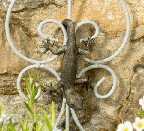 Jardinopia Gift Ware Jardinopia Gecko Pot Buddy Plant Pot Hanger