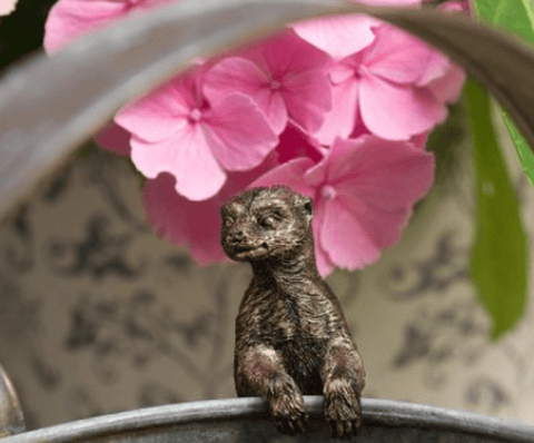 Jardinopia Gift Ware Jardinopia Meerkat Pot Buddy Plant Pot Hanger