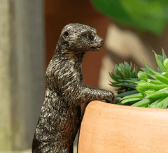 Jardinopia Gift Ware Jardinopia Meerkat Pot Buddy Plant Pot Hanger