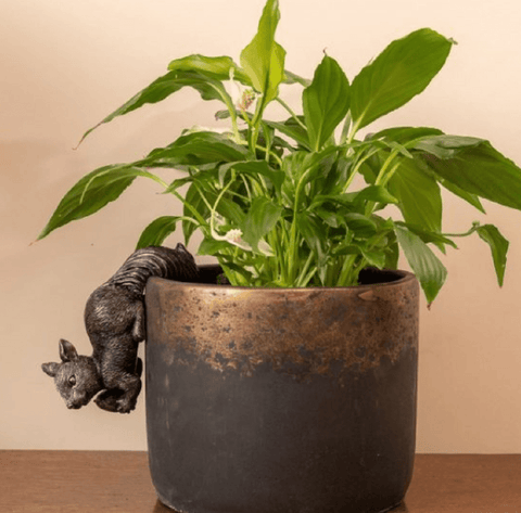 Jardinopia Gift Ware Jardinopia Red Squirrel Pot Buddy Plant Pot Hanger
