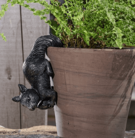 Jardinopia Gift Ware Jardinopia Red Squirrel Pot Buddy Plant Pot Hanger