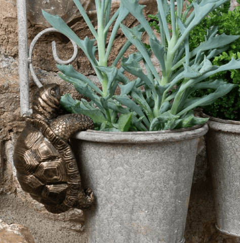 Jardinopia Gift Ware Jardinopia Tortoise Plant Pot Hanger