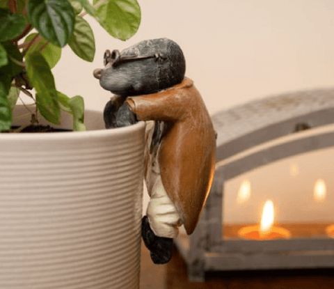 Jardinopia Gift Ware Jardinopia Wind in the Willows Mole Pot Buddy Plant Pot Hanger