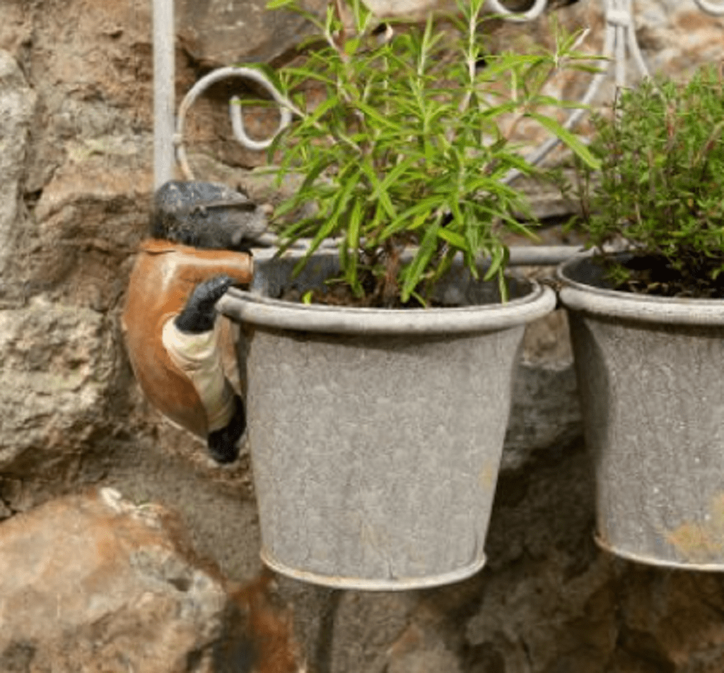Jardinopia Wind in the Willows Mole Pot Buddy Plant Pot Hanger Trowell Garden Centre