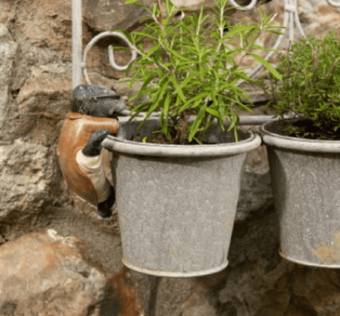 Jardinopia Gift Ware Jardinopia Wind in the Willows Mole Pot Buddy Plant Pot Hanger