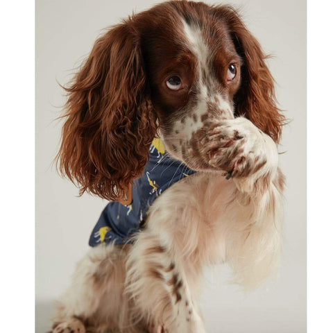 Joules Dog Clothing Joules Dogs Navy Raincoat