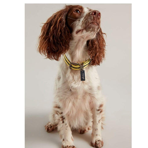 Joules Dog Collars & Leads Joules Navy Coastal Collar