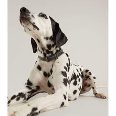 Joules Dog Collars & Leads Joules Navy Leather Collar