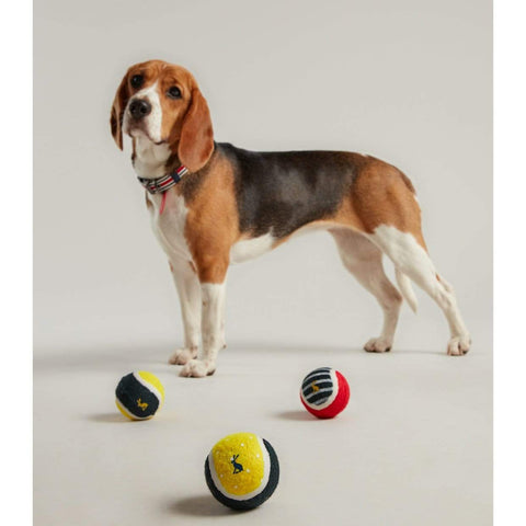 Joules Dog Toys Joules Outdoor Balls (pack of 3)