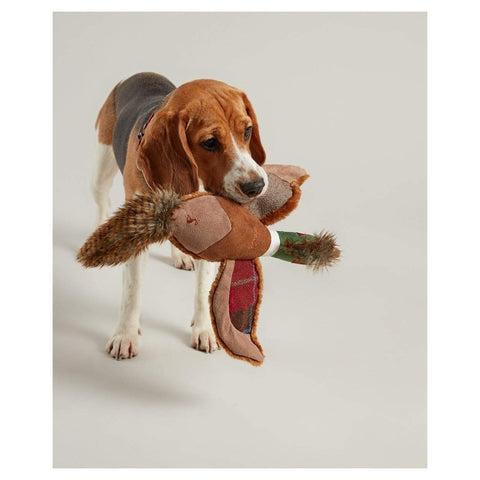 Joules Dog Toys Joules Pheasant Dog Toy