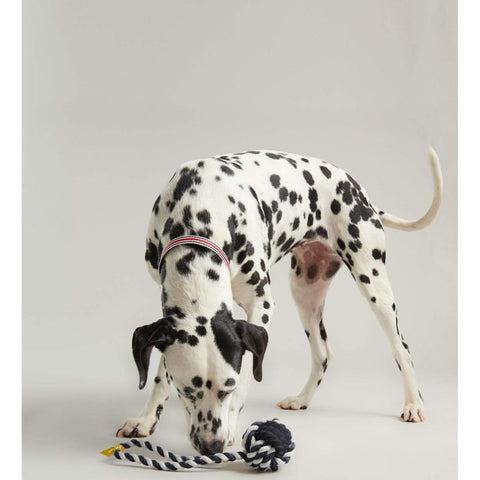 Joules Dog Toys Joules Rubber & Rope Dog Toy