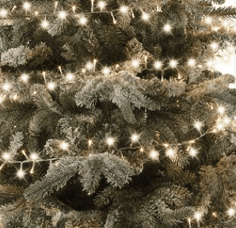 Kaemingk String Lights Kaemingk 1000L LED 8 Function String Lights Transparent/Warm White