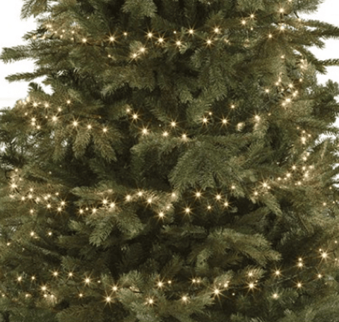 Kaemingk String Lights Kaemingk 8 Function 2000L LED String Lights Green/Warm White