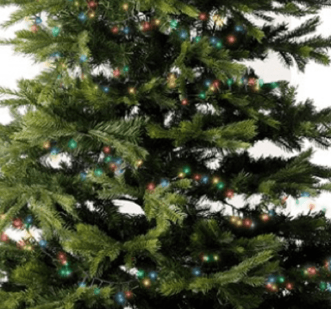 Kaemingk String Lights Kaemingk 8 Function Compact LED String Lights Green/Multi-colour