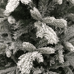 Kaemingk Christmas tree Kaemingk Frosted Vermont Spruce Christmas Tree 7Ft
