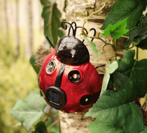 Kaemingk Solar Lighting Kaemingk Insect Solar Light Blue/Red/Yellow/Green